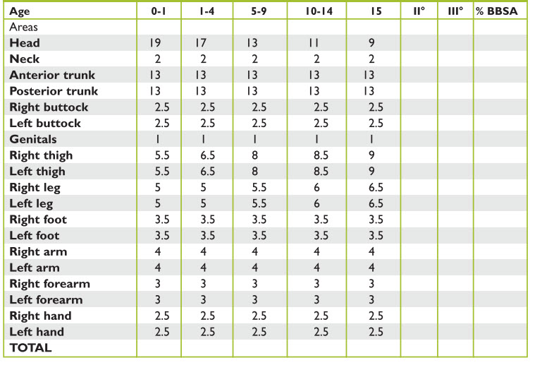 TABLE 5. Burn estimation (age vs. area)